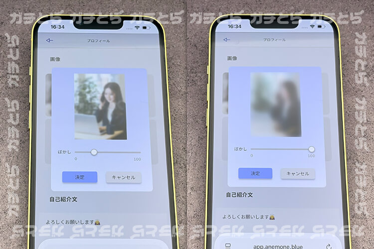 プロフ写真のぼかしレベル比較