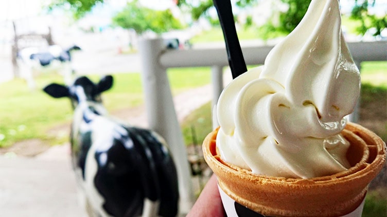 観光牧場で食べるソフトクリーム